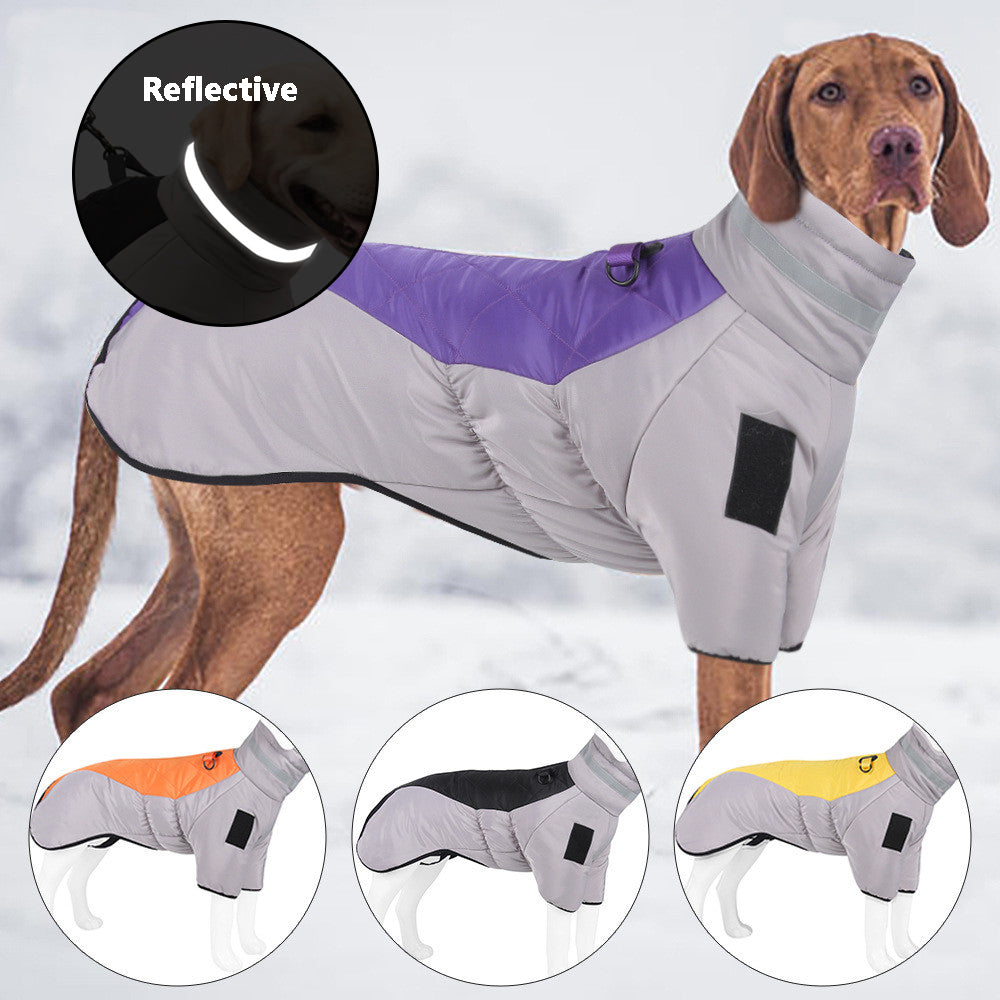 Brighty ReflectWarm reflective winter dog coat grey purple large dog snow outdoor all colors