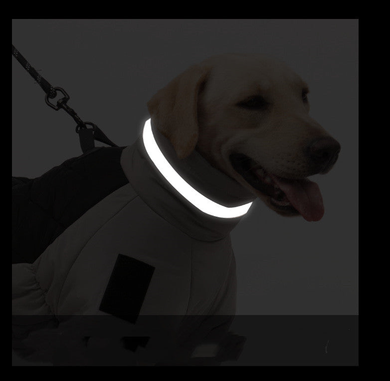 Brighty ReflectWarm reflective strip glowing night visibility large dog Labrador