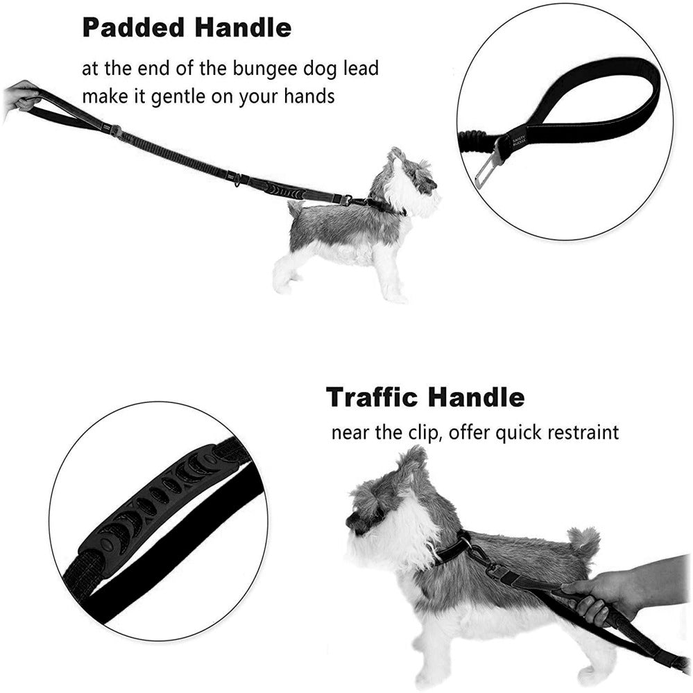 Brighty ShockGuard – Padded main handle and short traffic control handle demonstrated with a dog, for everyday walks and quick restraint
