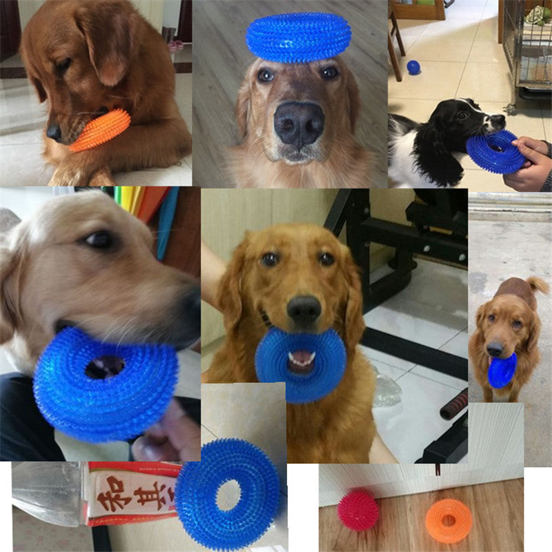 Dogs playing and chewing with Brighty DentalRing dental toy - golden retrievers and spaniels