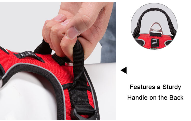 TrueLove Urban Air dog harness – sturdy handle on the back for control