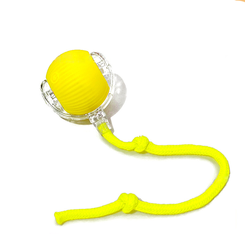 Brighty MotionBall – Balle Interactive Automatique