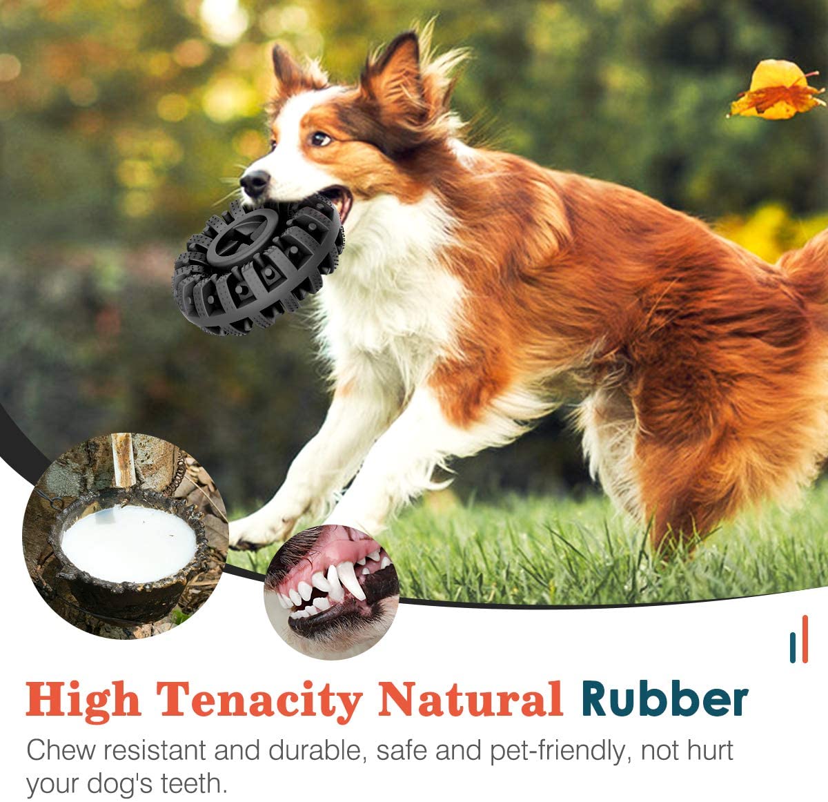 Dog running with Brighty ChewWheel in black - high tenacity natural rubber dental chew toy