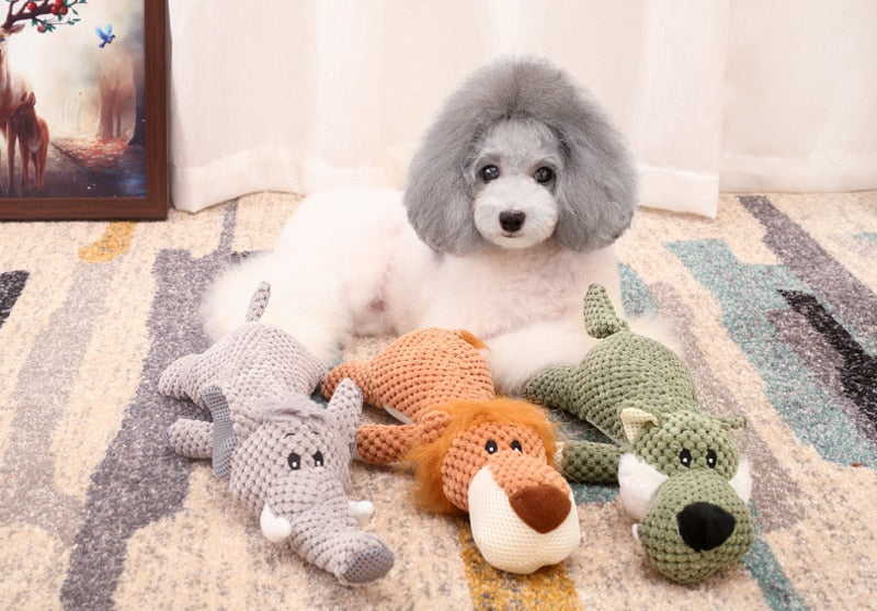 Grey Poodle dog posing with Brighty Wild elephant, lion and wolf squeaky plush dog toys – full collection view | Brighty Paws
