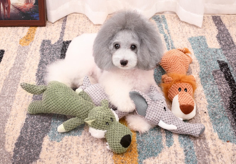 Grey Poodle puppy surrounded by Brighty Wild squeaky plush dog toys – wolf, elephant and lion set | Brighty Paw