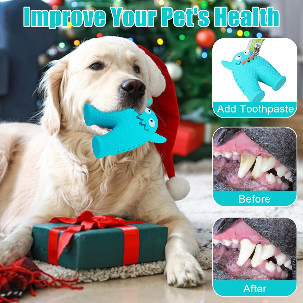 Brighty MonsterChew – Blue interactive dog chew toy held by a Golden Retriever, with toothpaste application tip and dental before/after comparison