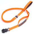 Brighty FrogLock bungee dog leash in orange – reflective stitching, frog buckle clasp, dual handle, 135 cm