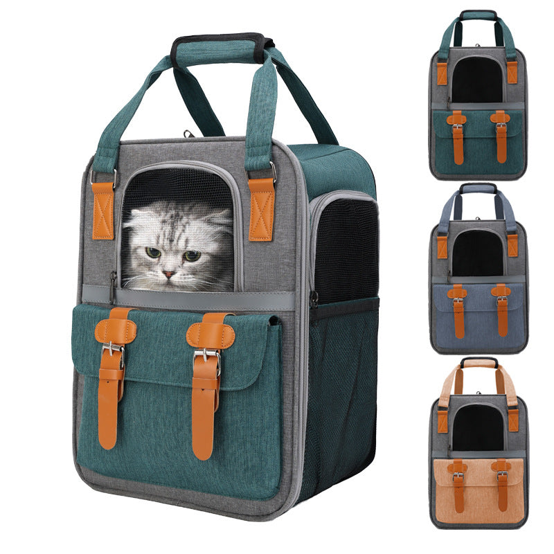 Brighty UrbanCarry – Cat looking through mesh window of breathable pet backpack carrier, showing all available colors