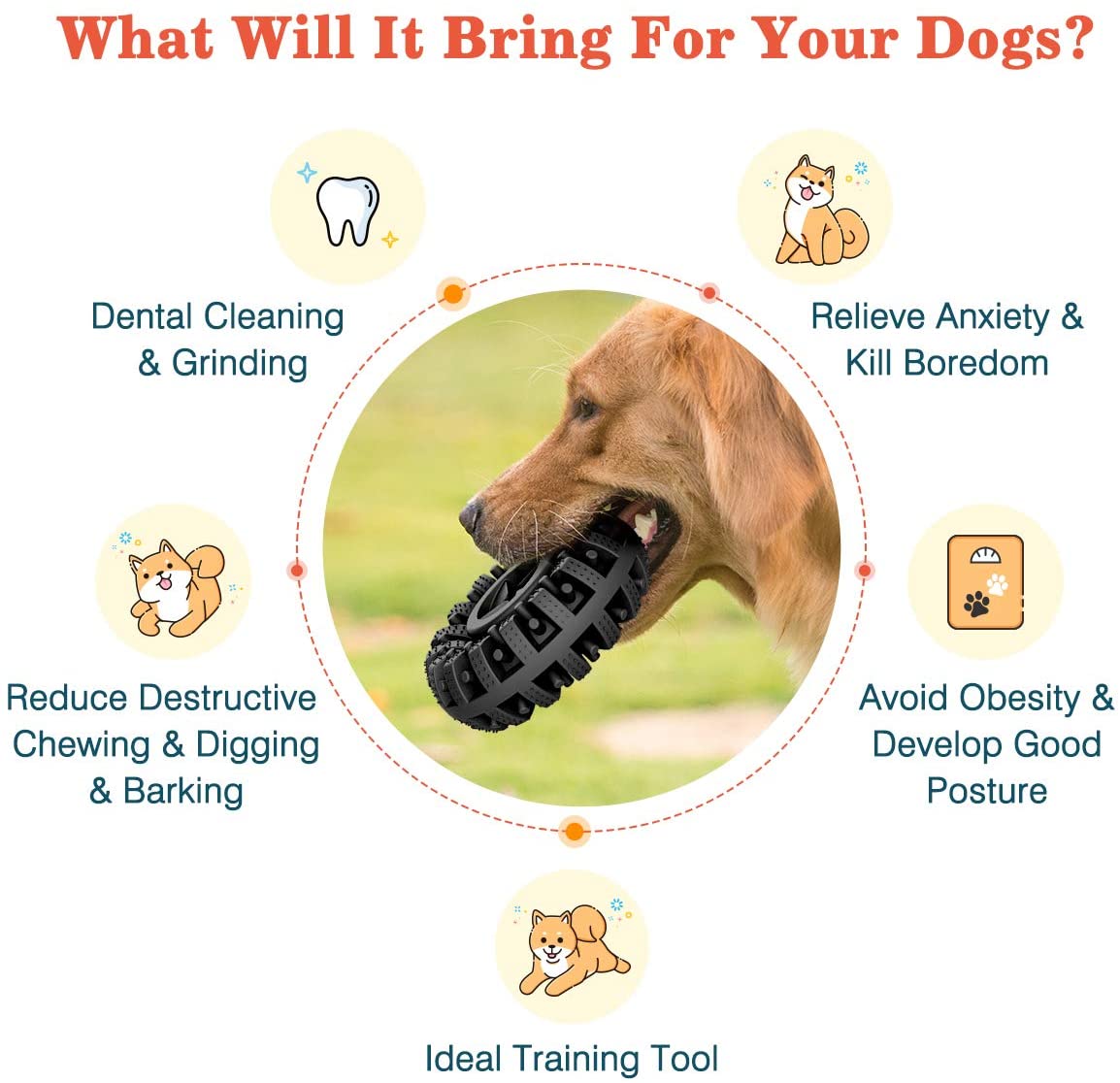 Benefits of Brighty ChewWheel - dental cleaning anxiety relief training tool for dogs