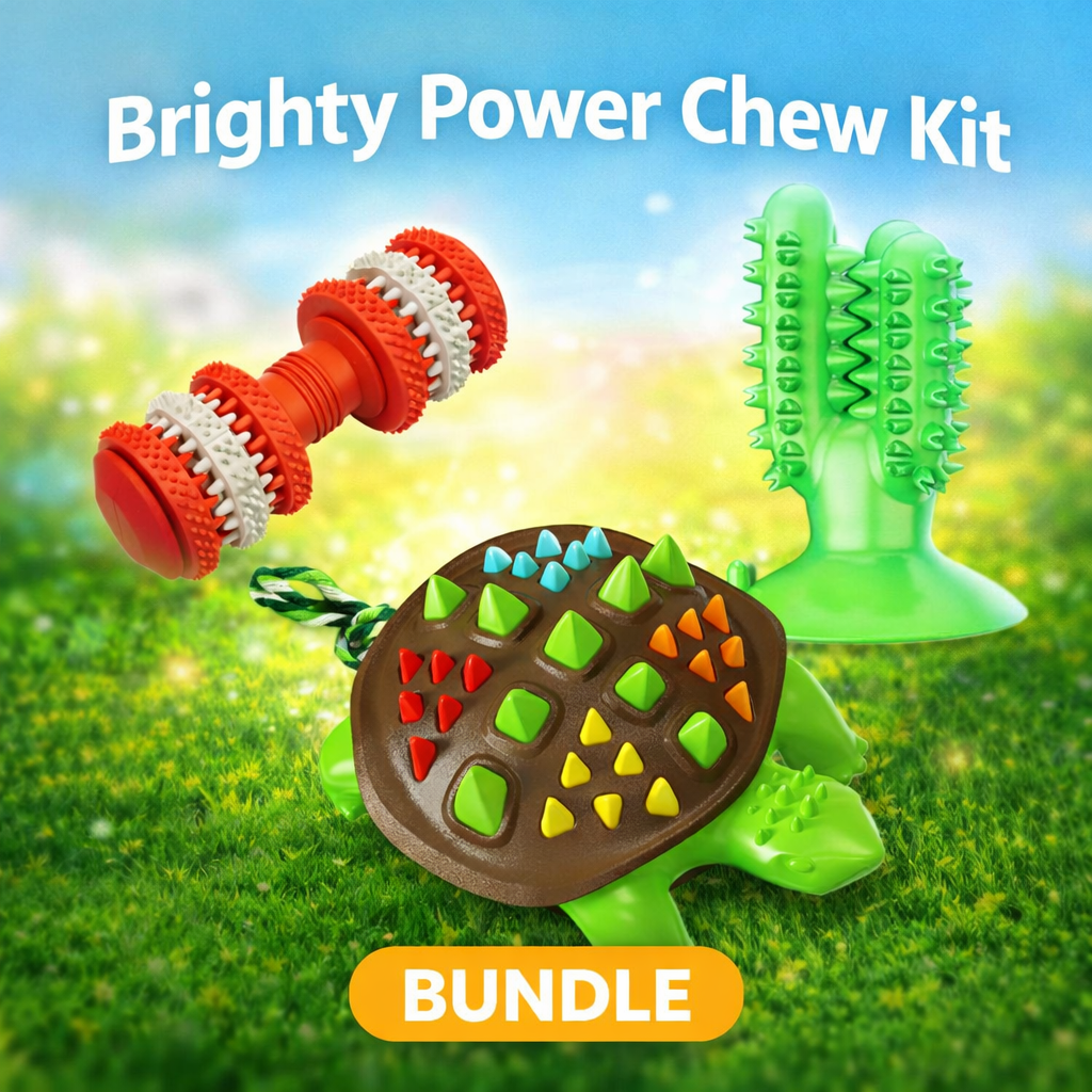 Brighty Power Chew Kit – Bundle of 3 resistant dog chew toys: ChewBar, TurtleChew and ChewCactus for dogs