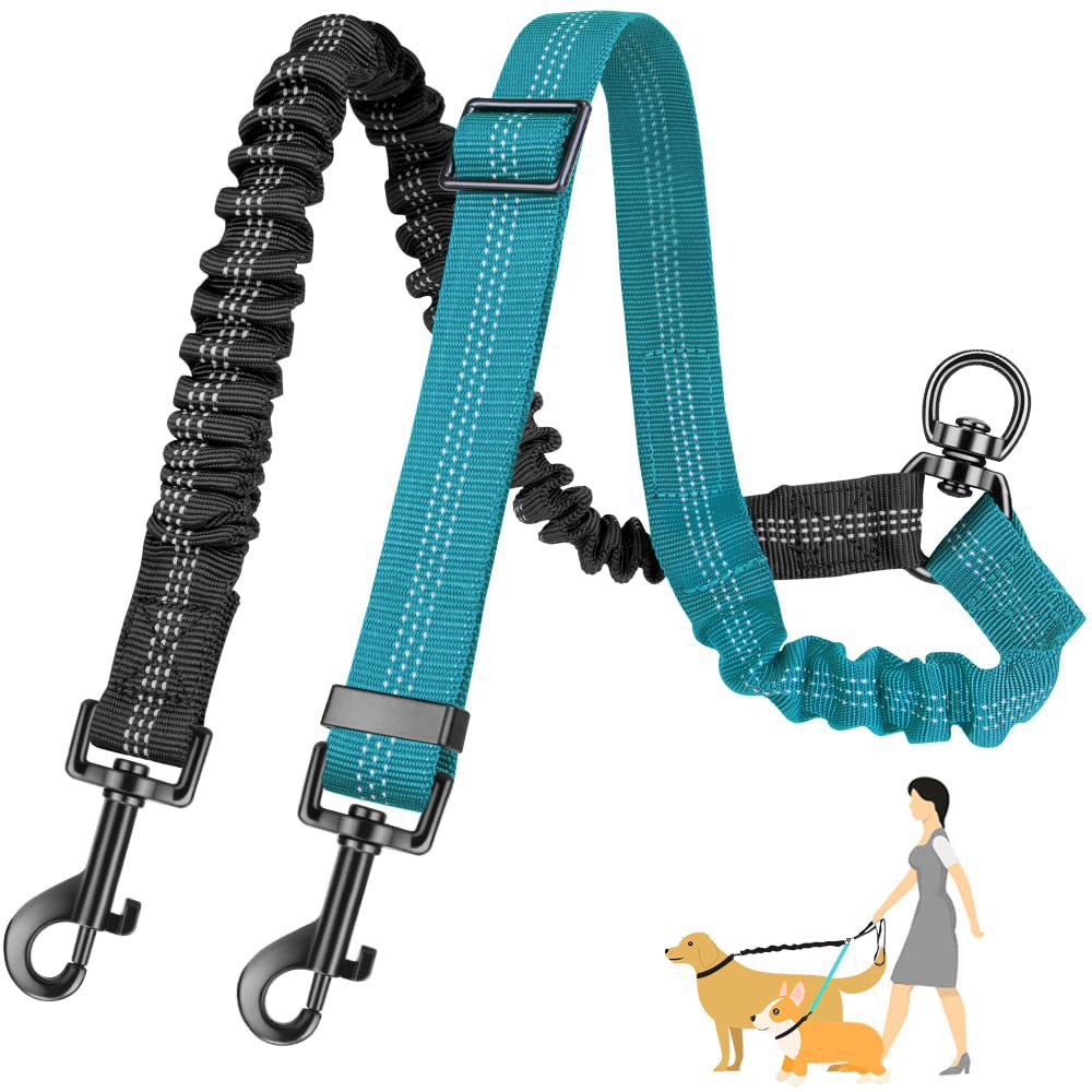 Blue and black elastic double dog leash coupler with adjustable straps, metal clips and a diagram of two dogs being walked.