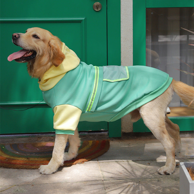 Golden retriever wearing the green and yellow BigCozy hoodie, shown from the side with its contrasting hood, sleeves and back pocket.