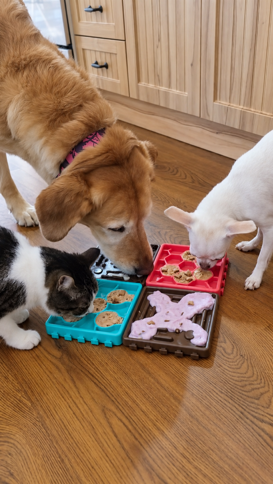 Two dogs and a black-and-white cat enjoying treats from connected Brighty Calm lick mat panels on a wooden kitchen floor.