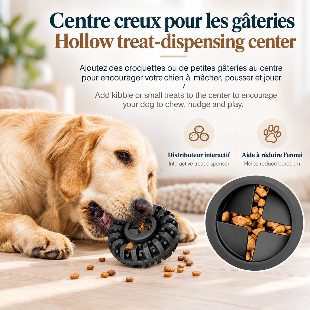 Golden retriever chewing a black Brighty ChewWheel filled with kibble, with a close-up showing treats inside its cross-shaped central opening.