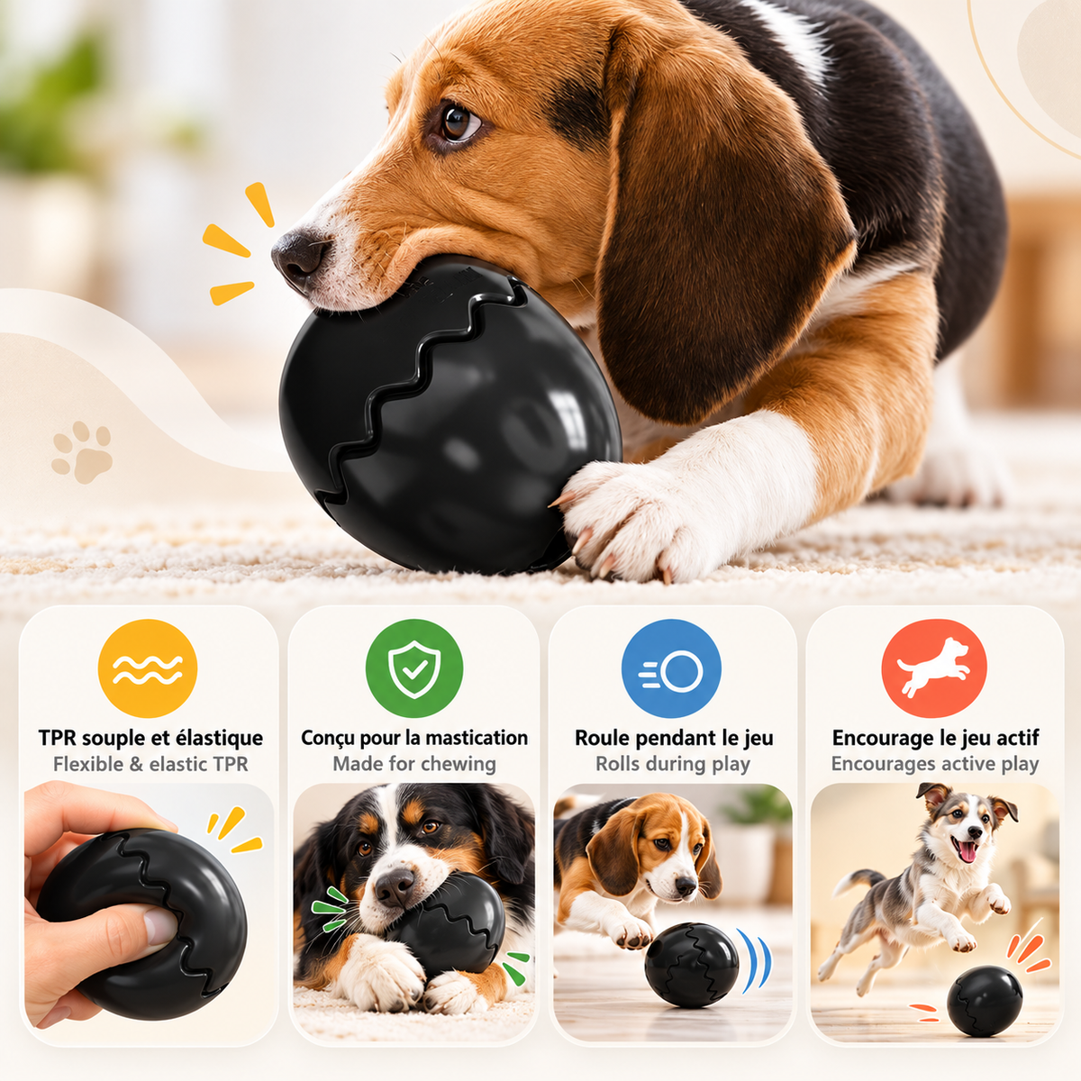 Beagle holding a black Brighty DinoEgg, with inset images illustrating its flexible surface, chewing, rolling and active play.