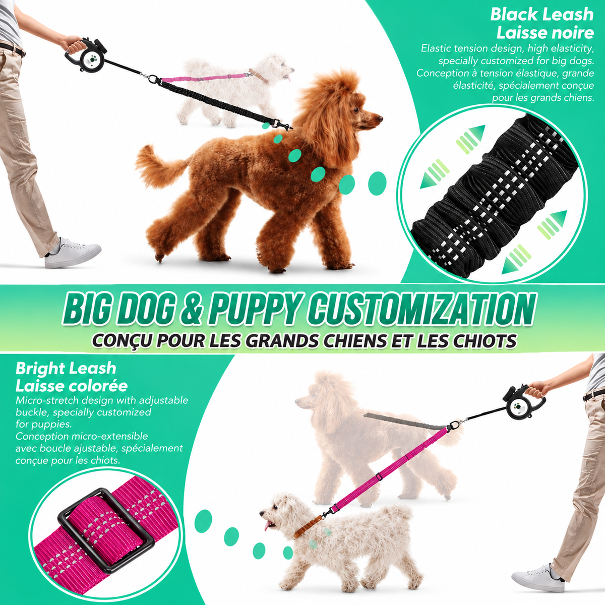 Two dogs walk together on a dual leash, with a black elastic branch and a pink adjustable branch shown in close-up.