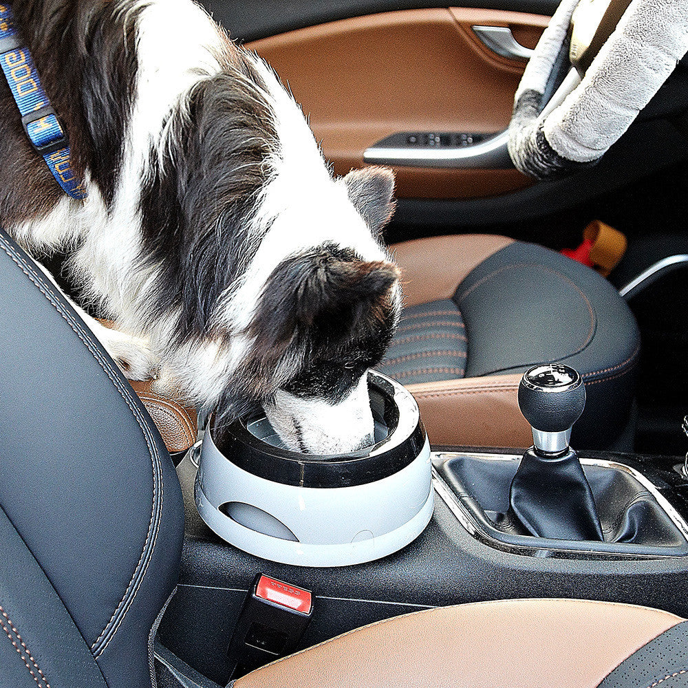 A dog drinks from a Brighty OnBoard floating water bowl placed in a car, showing how the bowl can be used during travel.
