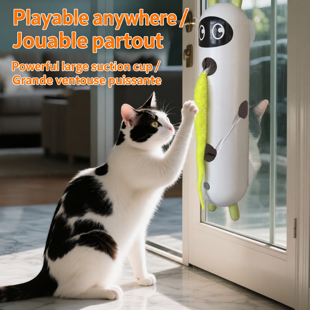 Black-and-white cat reaching for the yellow-green tail of a Brighty Peekaboo mounted on a glass door with suction cups.