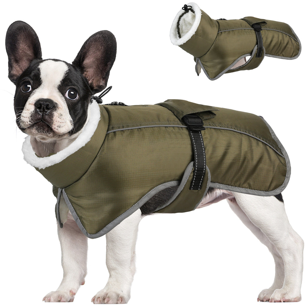 A French bulldog wears the green PolarWarm coat with a fleece-lined collar, reflective trim and an adjustable belly strap.