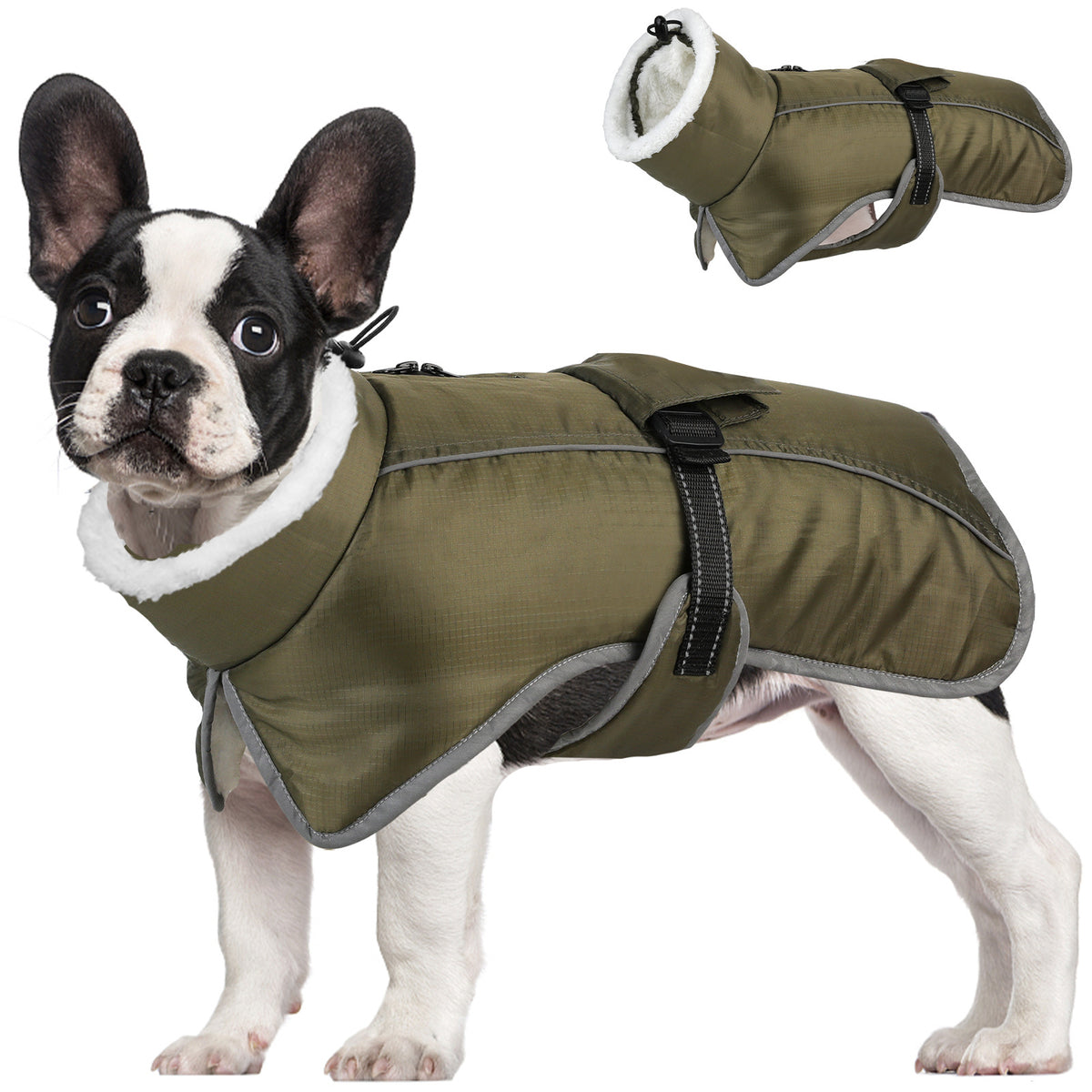 A French bulldog wears the green PolarWarm coat with a fleece-lined collar, reflective trim and an adjustable belly strap.