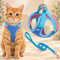 Orange tabby cat wearing the blue Brighty PurrWalk harness, alongside a close-up of its pink lining, adjustable blue straps, twin metal rings and matching blue leash.