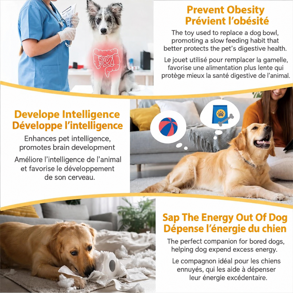 Promotional collage showing a veterinarian, a dog playing and a dog using an enrichment toy, alongside claims about slow feeding and mental engagement.