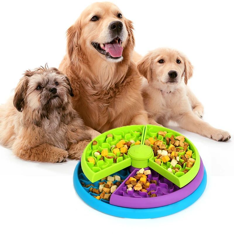 Three dogs pose behind a colorful three-level SpinQuest puzzle feeder filled with food in its compartments.