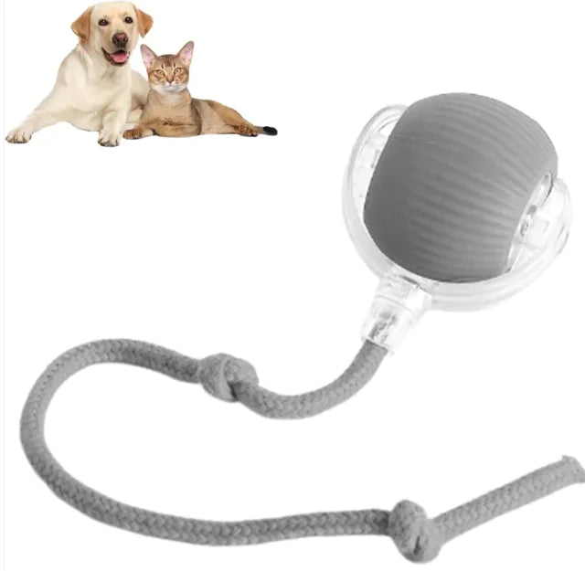 Brighty MotionBall in gray - automatic self-rolling ball for dogs and cats with USB-C charging