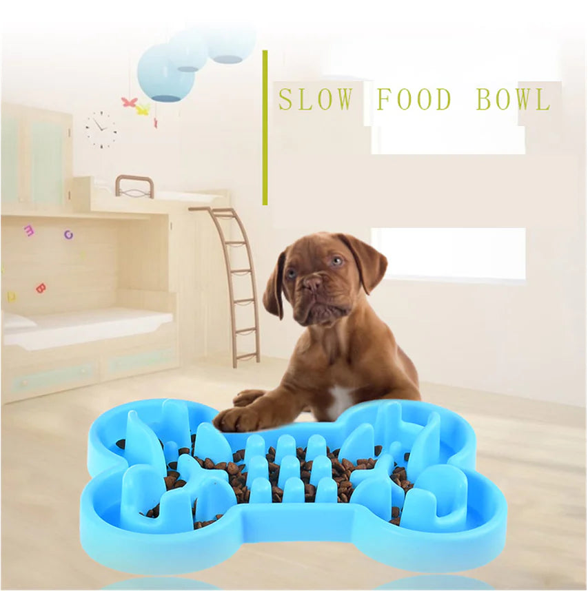 Puppy eating from Brighty Slow Bowl in blue - slow food bowl for healthy digestion