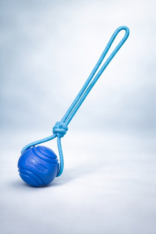 Brighty ToughBall blue ultra durable rubber dog chew ball with rope for fetch and play