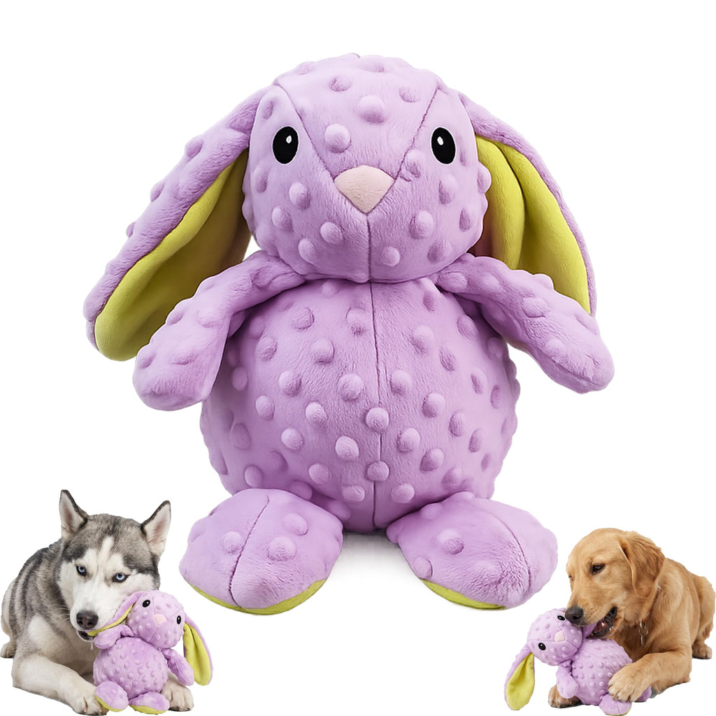 Brighty Miss Bunny – Purple rabbit squeaky plush dog toy, shown with Husky and Golden Retriever, suitable for medium and large dogs