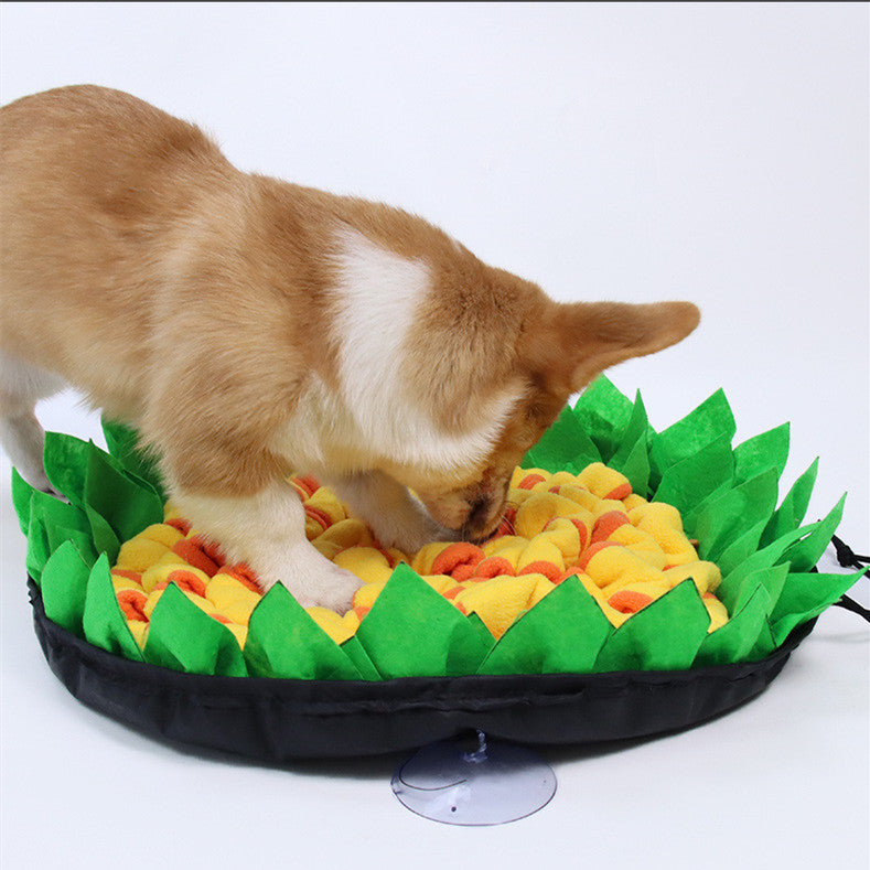 Corgi using the Brighty SnuffleFlower interactive dog snuffle mat to search for hidden treats.