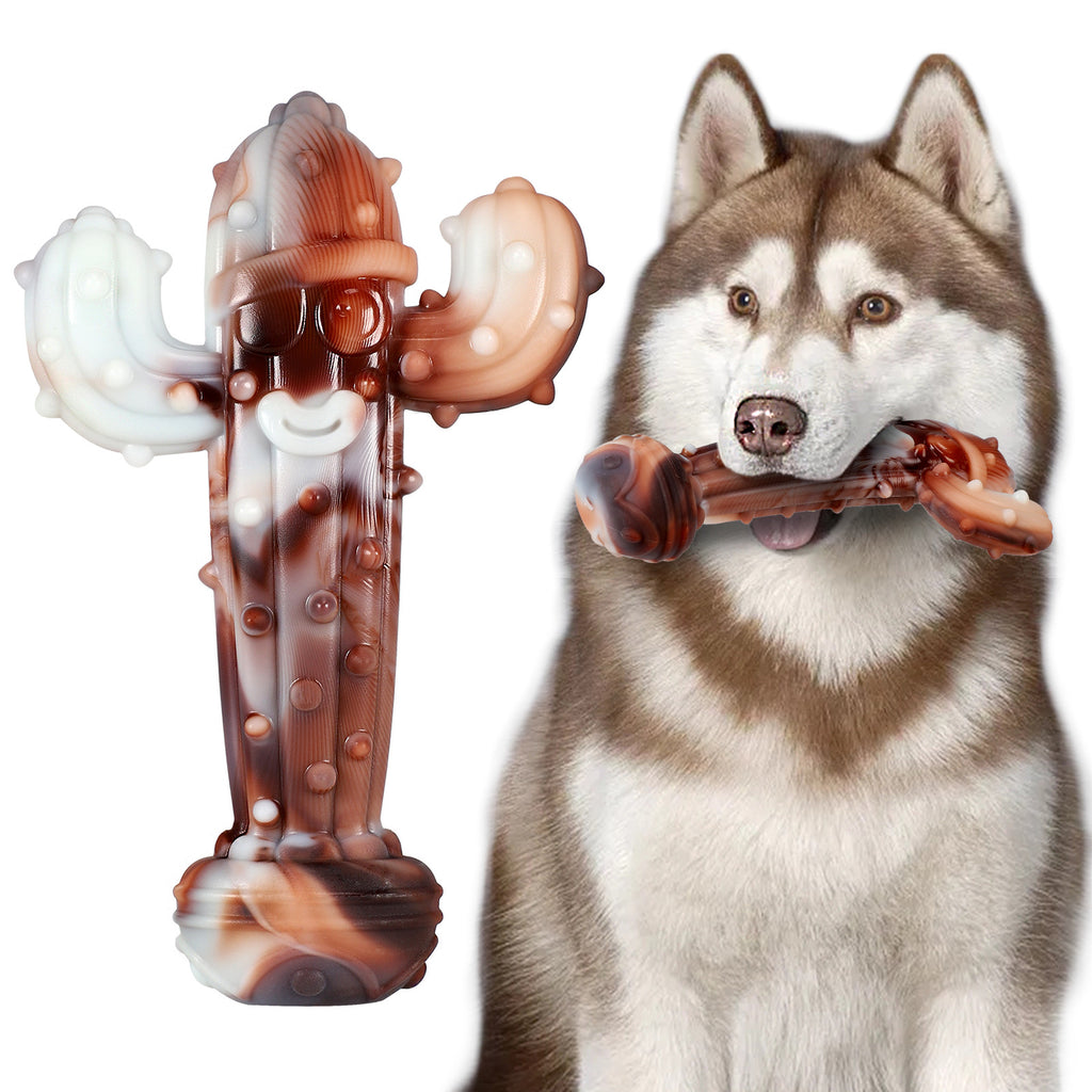 Brighty ToughChew cactus nylon chew toy next to Siberian Husky dog, tough chew for large and aggressive chewer dogs