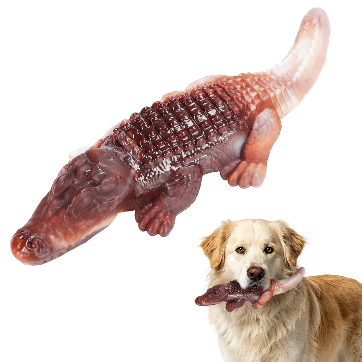 Brighty ToughChew crocodile nylon chew toy with Golden Retriever dog, tough multi-texture beef-scented dog chew