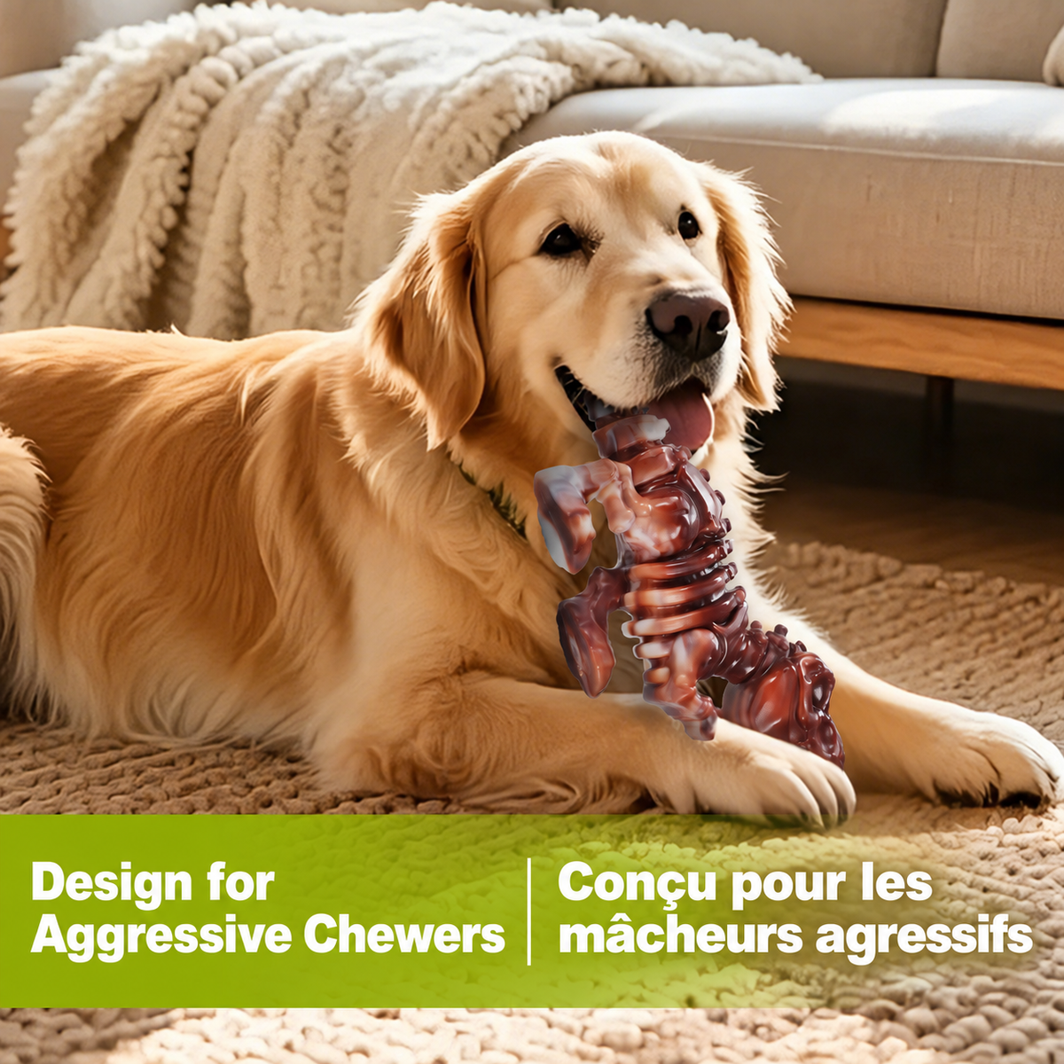 Golden Retriever chewing Brighty ToughChew T-Rex nylon toy on rug, designed for aggressive chewers, bilingual French English infographic