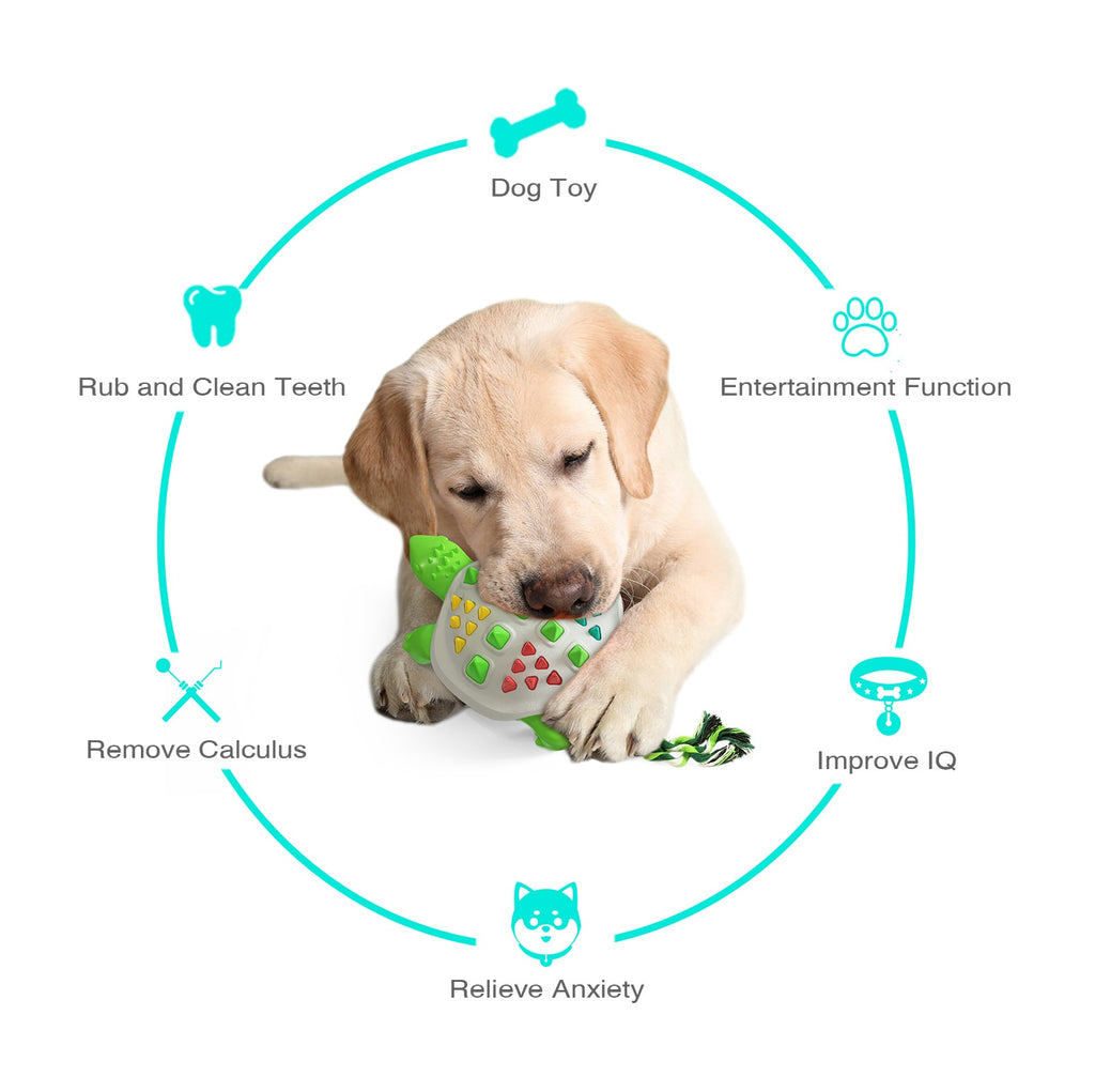 Brighty TurtleChew dog chew toy benefits - cleans teeth, relieves anxiety, improves IQ