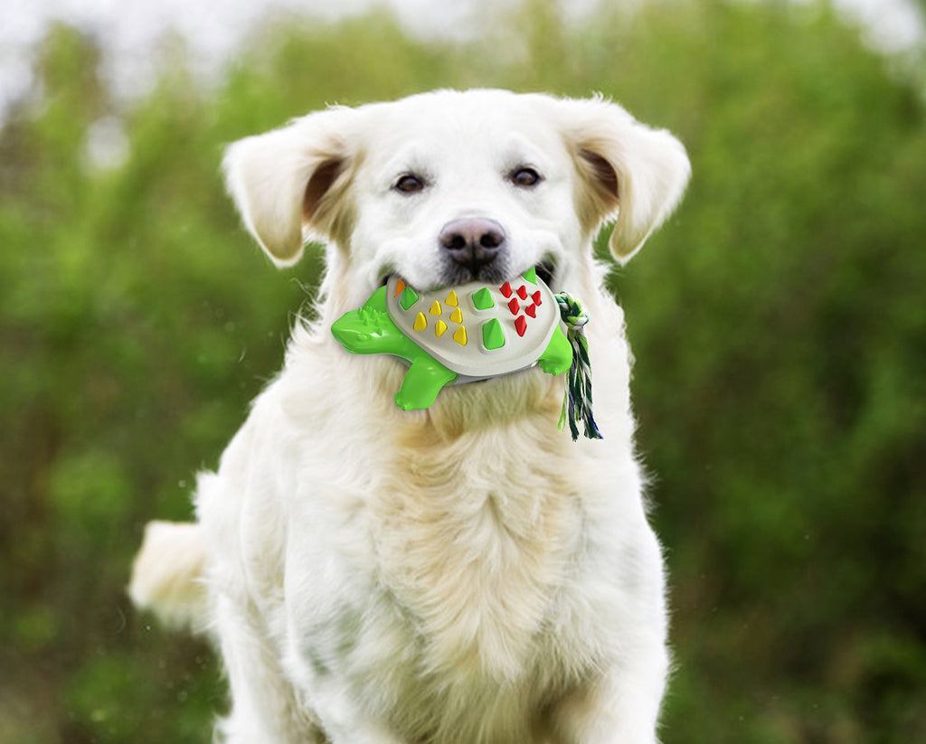 White dog playing with Brighty TurtleChew dental chew toy outdoors