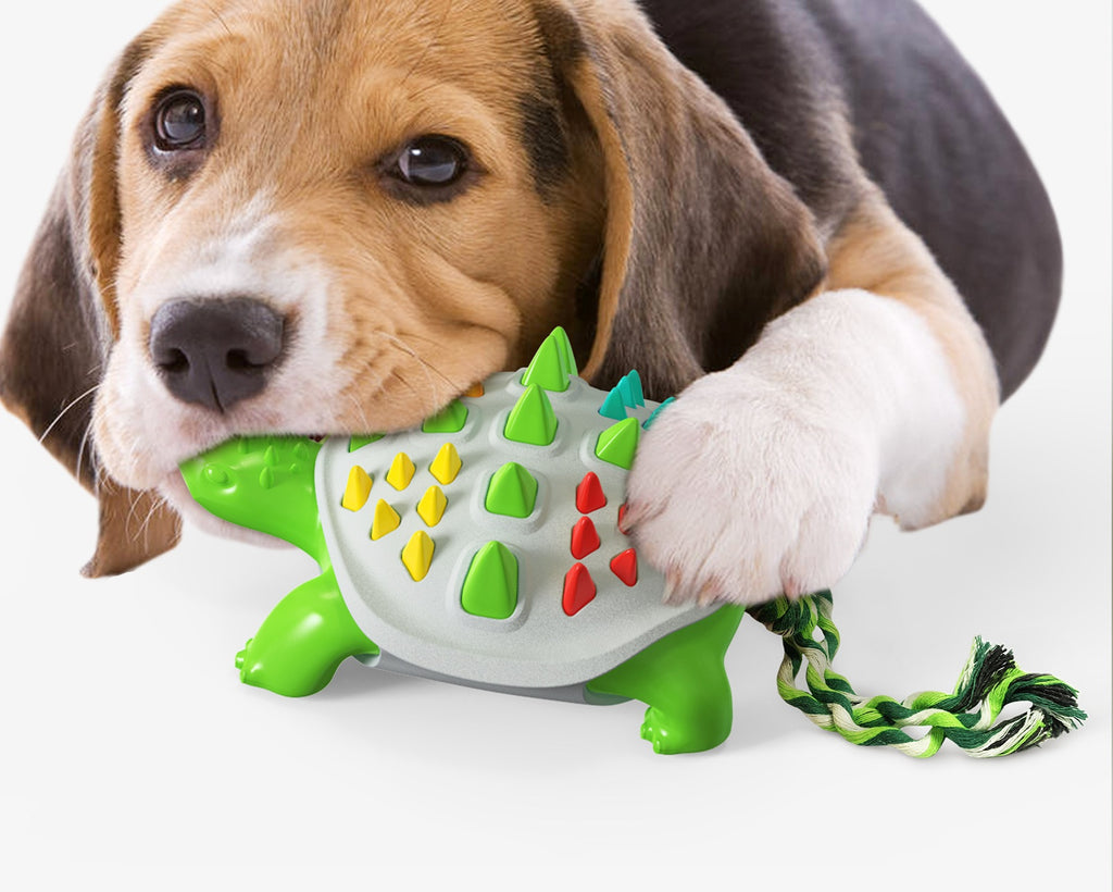 Beagle puppy chewing Brighty TurtleChew rubber dental toy with rope