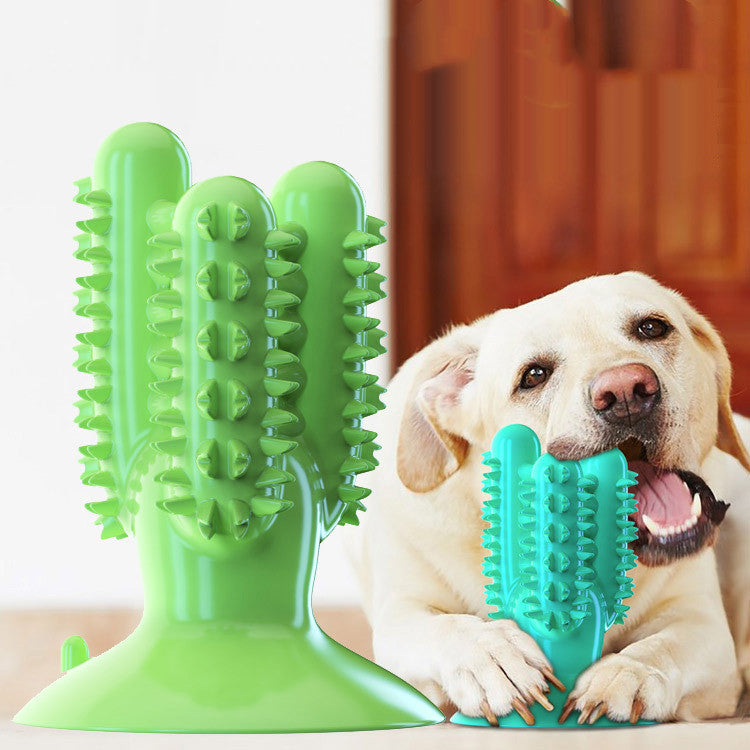 Happy dog playing with Brighty ChewCactus blue and green dental chew toy for teeth cleaning