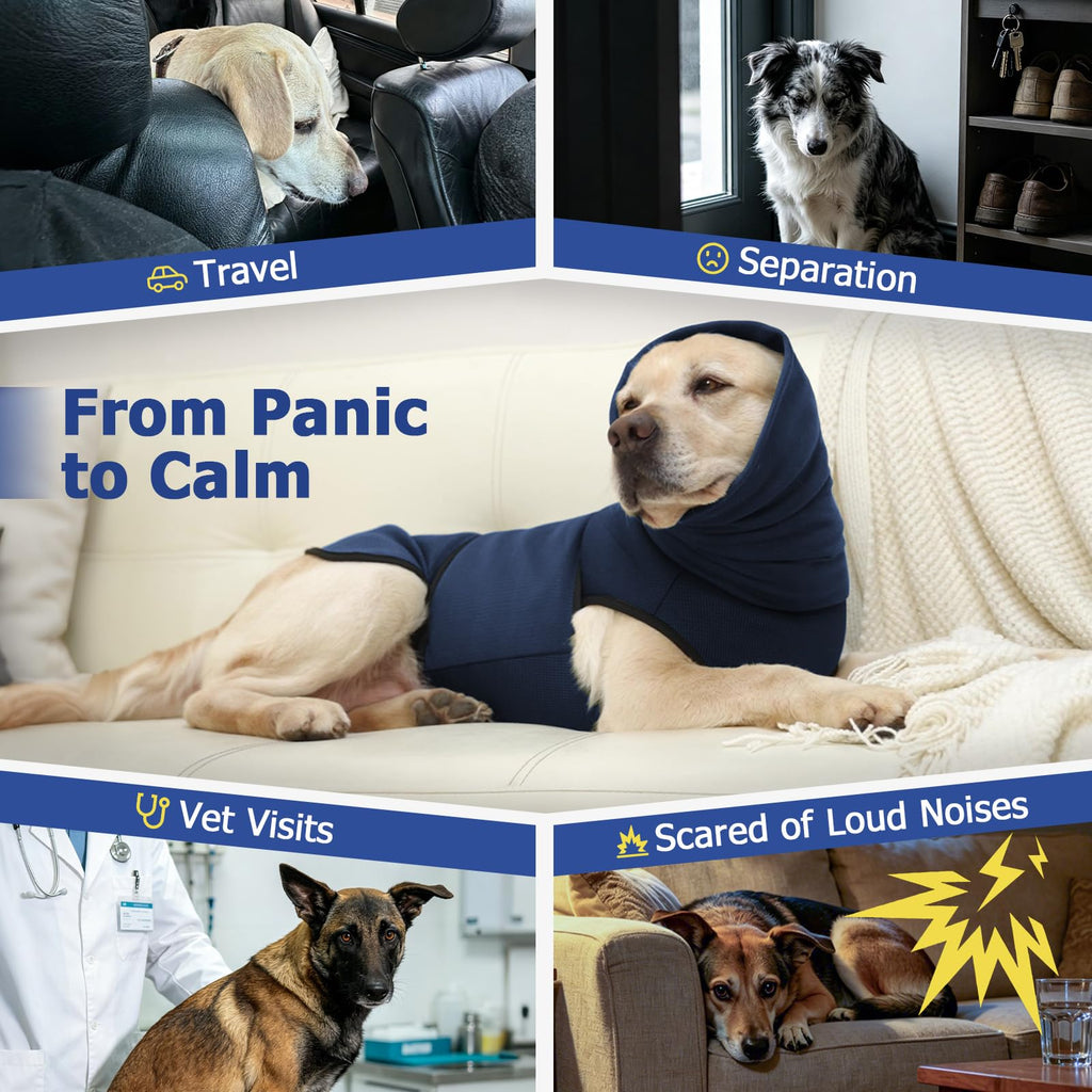 Brighty CalmFit dog anxiety vest – calming shirt for travel, separation anxiety, vet visits and loud noises