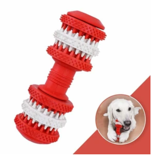 Golden Labrador chewing Brighty ChewBar red dental dog toy showing real use for teeth cleaning