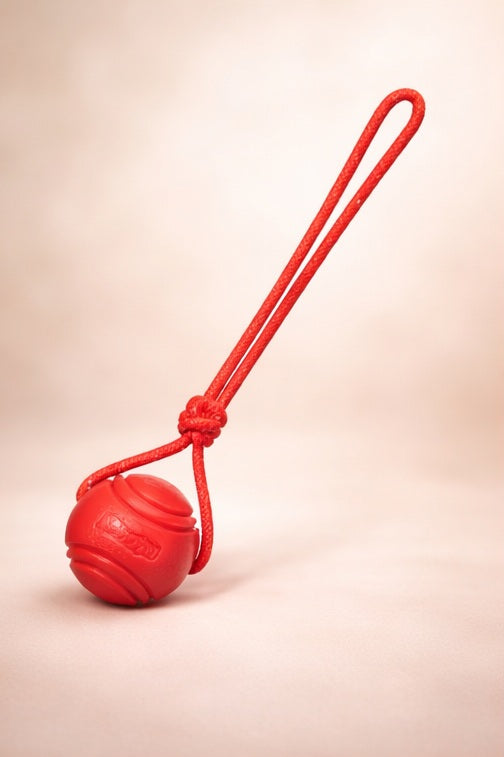 Brighty ToughBall red ultra resistant rubber dog chew ball with rope for aggressive chewers